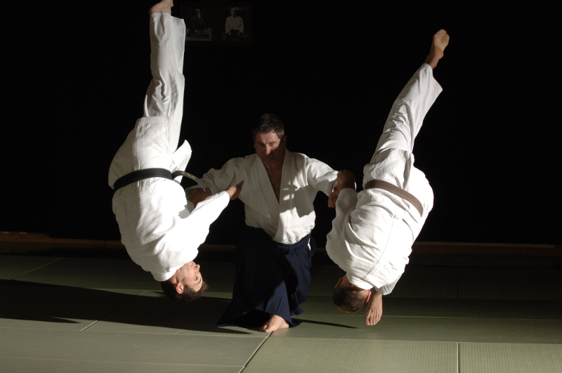 sensei-2projections-1